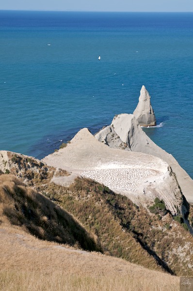 NewZealand 09 10  065